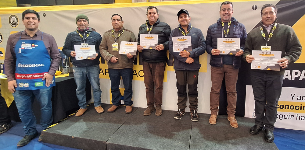 foto feria sodimac coronel